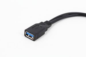 Ar mikro USB3.0 BM ar USB 2.0 USB 3,0 AF Y Cable
